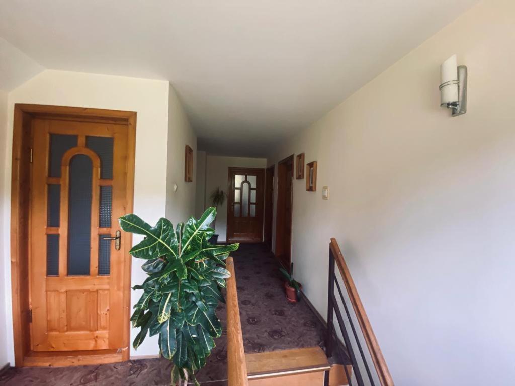 Pensiunea Casa Domniței Sucevița Exterior foto