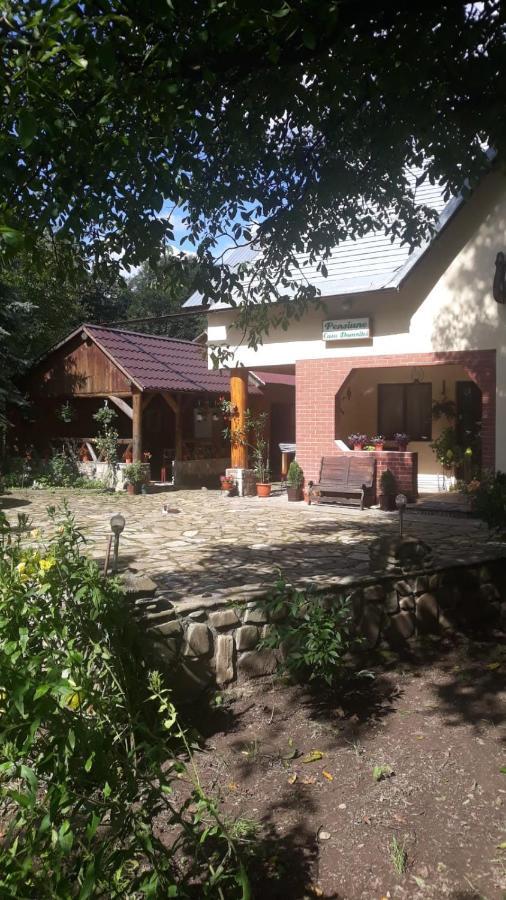Pensiunea Casa Domniței Sucevița Exterior foto